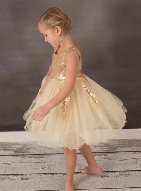 Gold Sequin A-Line Tulle Flower Girl Dresses, Lovely Little Girl Dress Dairy Bridal Gold Sequin A-Line Tulle Flower Girl Dresses, Lovely Little Girl Dress Dairy Bridal