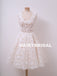 Charming Lace A-Line Elegant Sleeveless Homecoming Dress, D1313