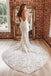 Stunning Mermaid Lace Sexy V-neck Sleeveless V-back Wedding Dresses, FC4358